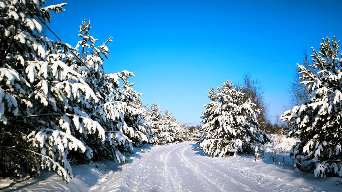 Фото автора - зимняя дорога