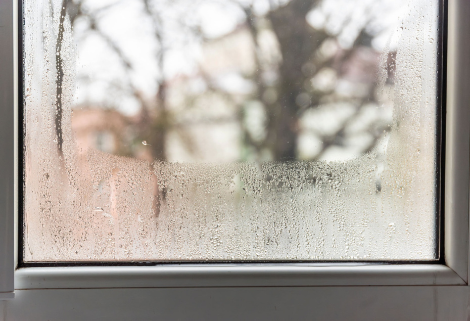    Shutterstock/FOTODOM