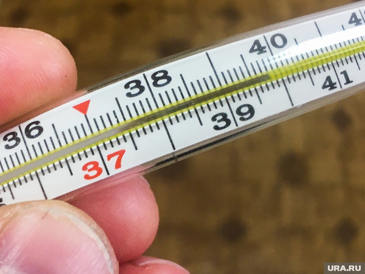     Девошке с высокой температурой врачи предлагали лечиться от ОРВИ и отказывались госпитализировать