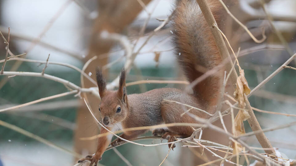 От -7º до +4º: волгоградцев предупредили о порывистом ветре до 23 м/с