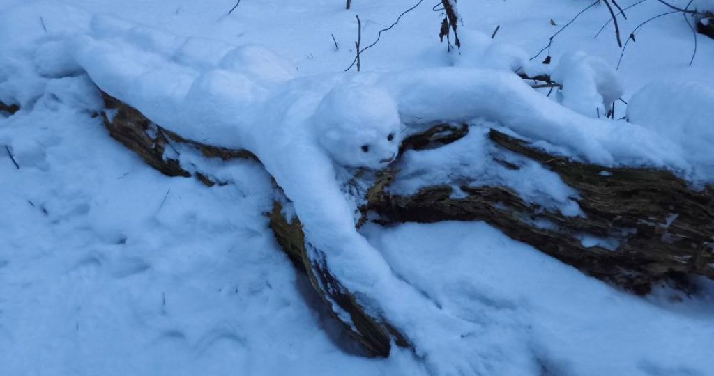 Жители Сызрани пошли в лес и ахнули: снежный человек собственной персоной