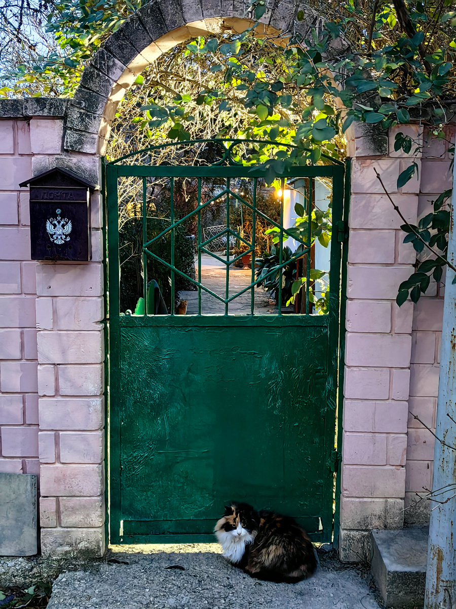 Сегодня. Фото автора канала