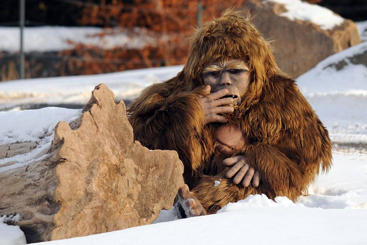 Снежный человек.