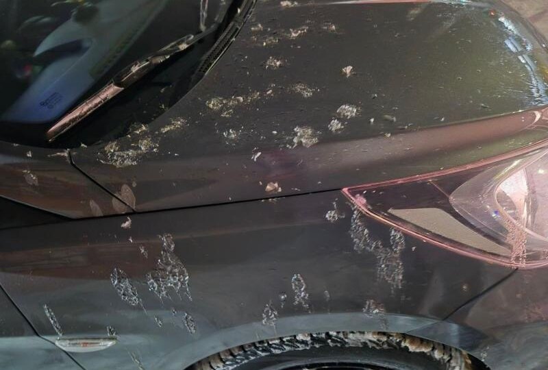 В Рязани неизвестные облили припаркованный автомобиль