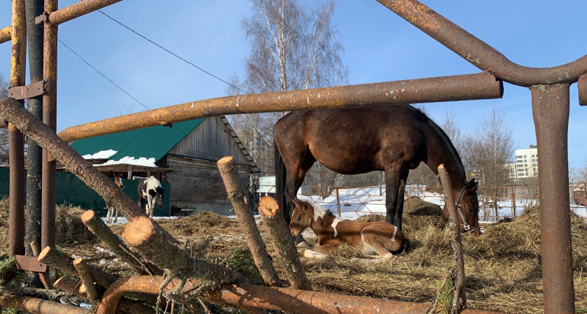    Фотоархив редакции