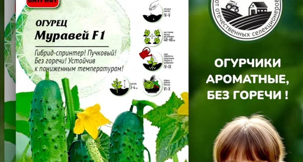 Календарь посева огурцов на подоконнике на 2026 год