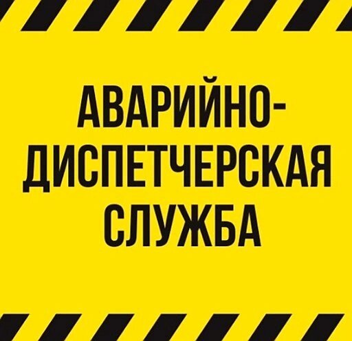    Фото: открытый источник