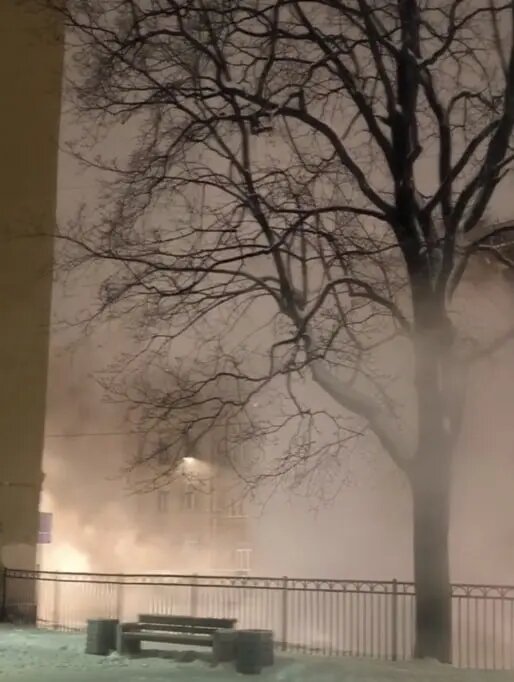    Фото: скриншот из видео в телеграм-канале «Живём на Васильевском».