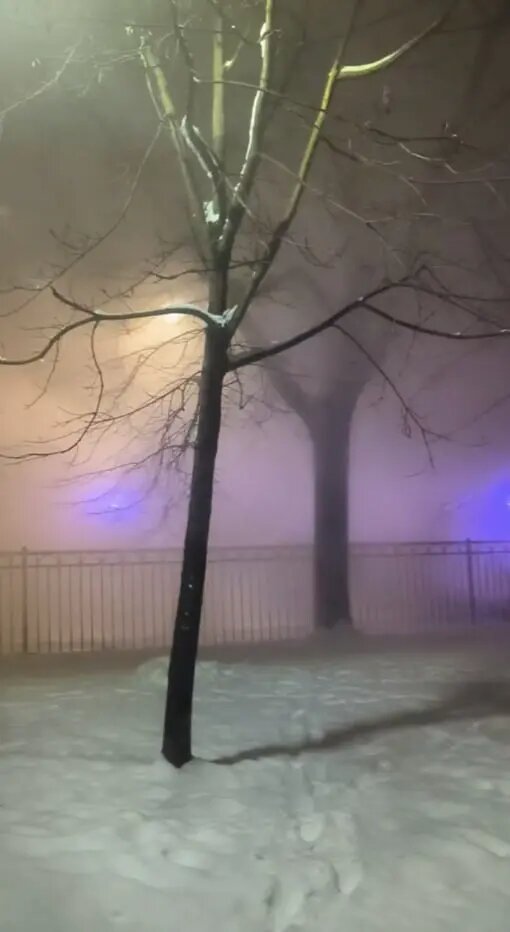    Фото: скриншот из видео в телеграм-канале «Живём на Васильевском».