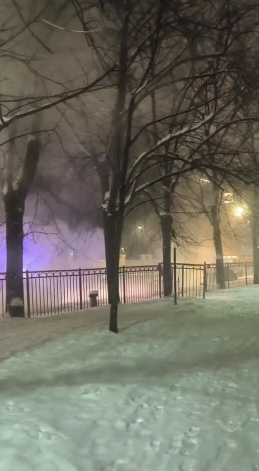    Фото: скриншот из видео в телеграм-канале «Живём на Васильевском».