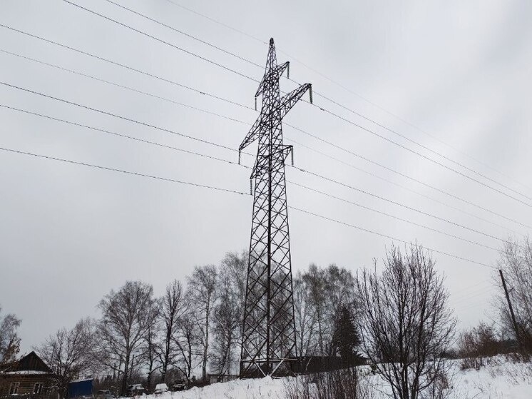     Фото: МК в Пензе