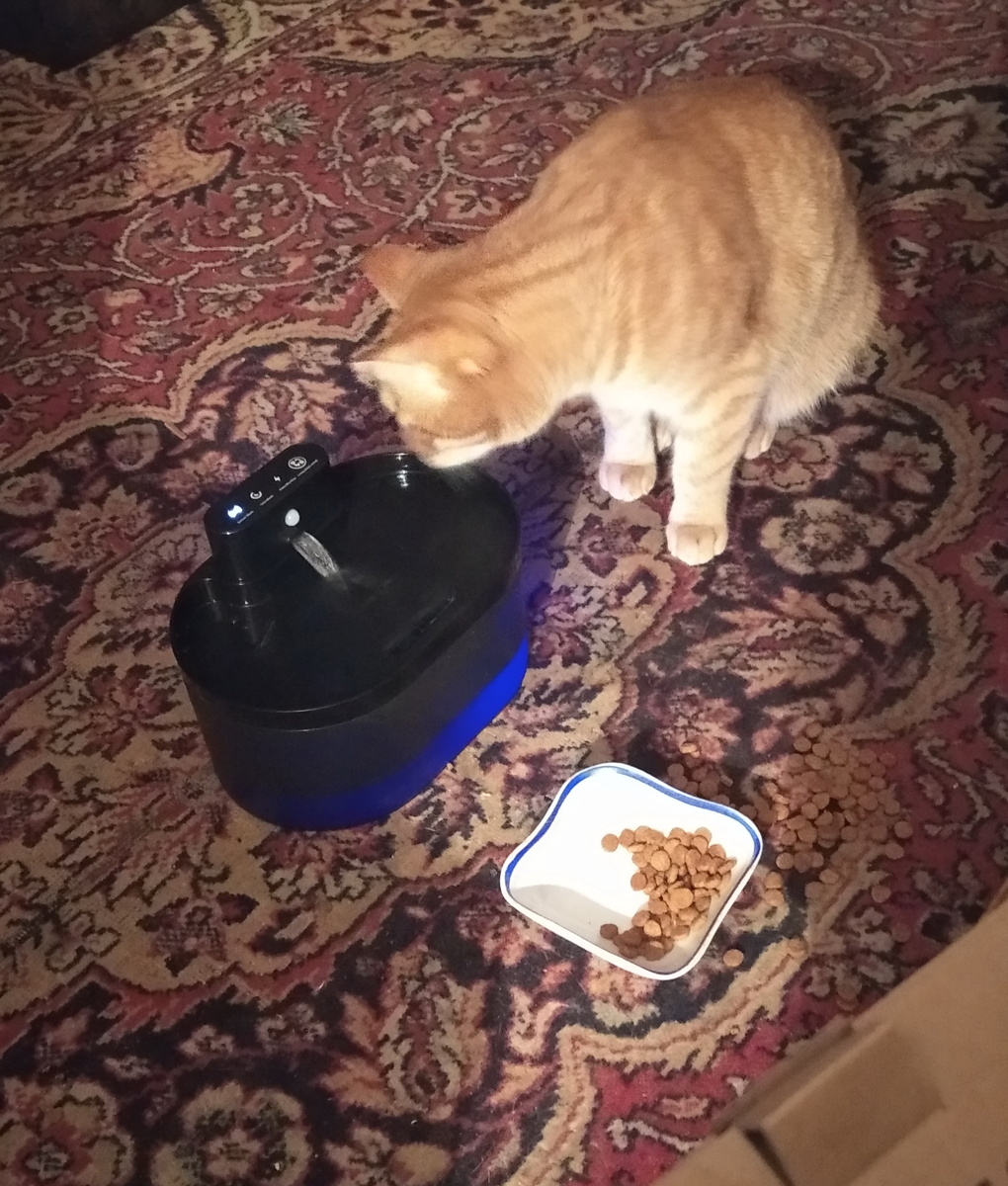 личное фото