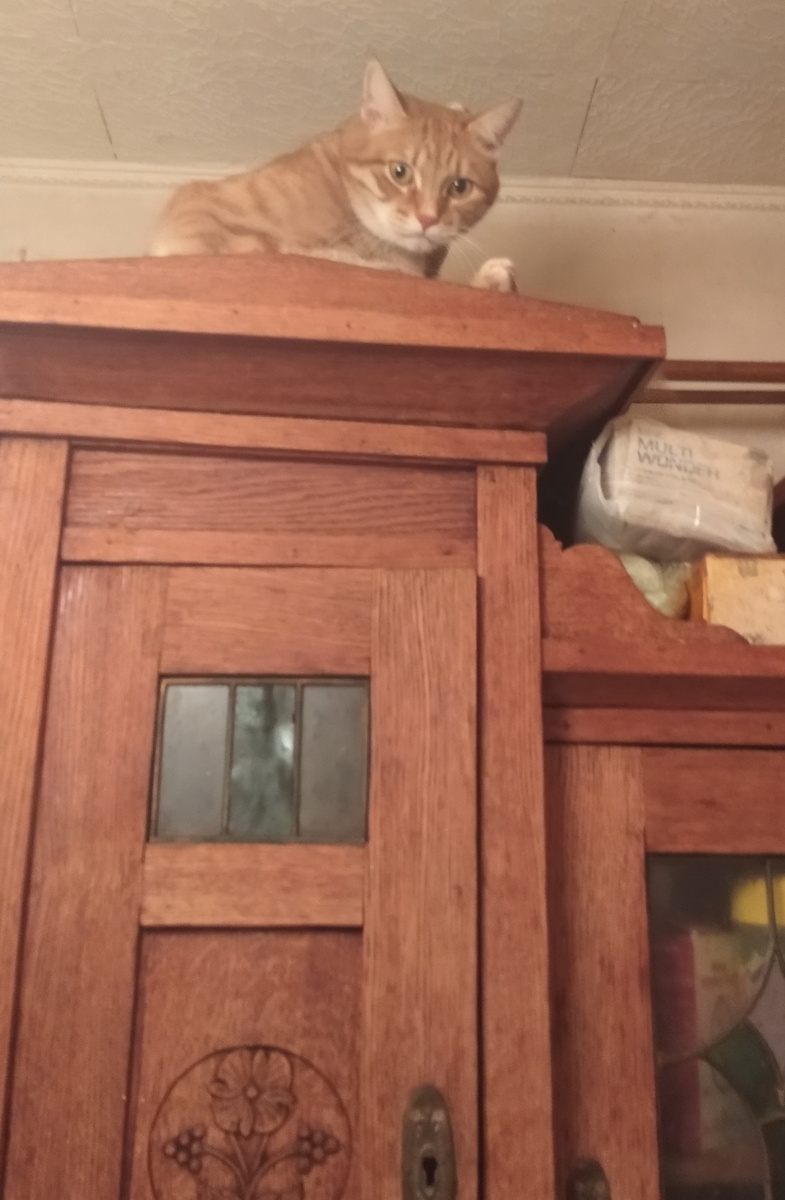 личное фото