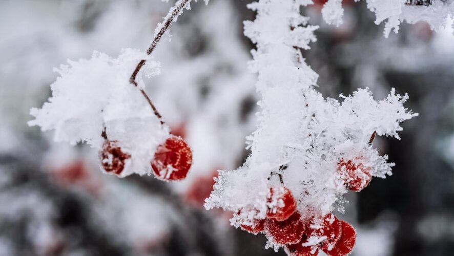 Гидрометцентр РТ: пик непогоды в республике придется на 4 января