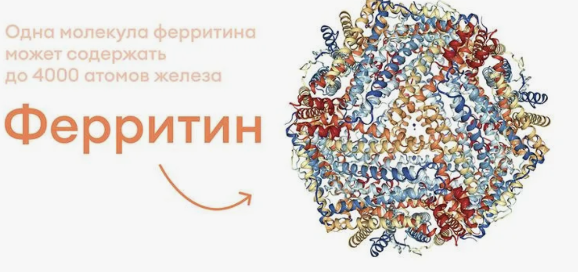 Скриншот с простор интернета