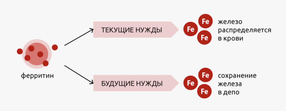 скриншот взяла с простор интернета яндекс картинки