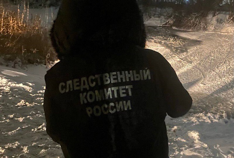 Стали известны подробности трагедии с провалившимися под лёд детьми под Воронежем