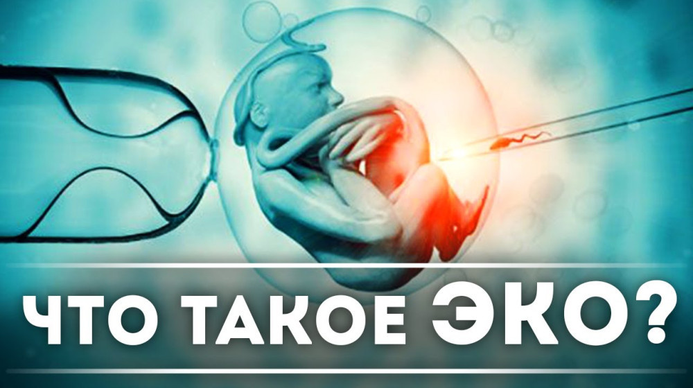    Эмбрионы ЭКО живые дети или нет? Тайна, которая меняет всё