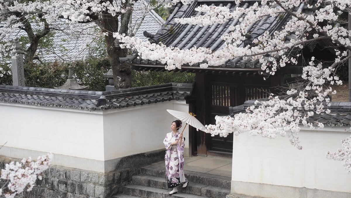 Япония, Киото, цветение сакуры у буддийского храма Nanzenji