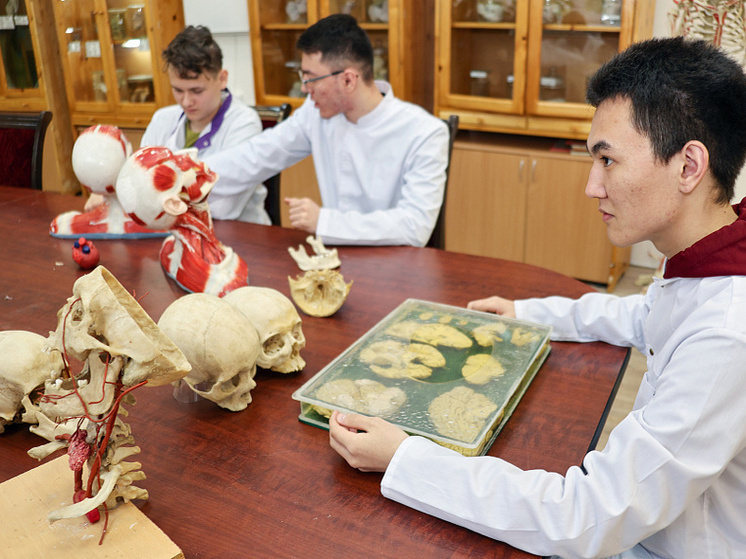     Микропастик способен накапливаться в органах и тканях, нарушая их работу. Фото: пресс-служба НовГУ