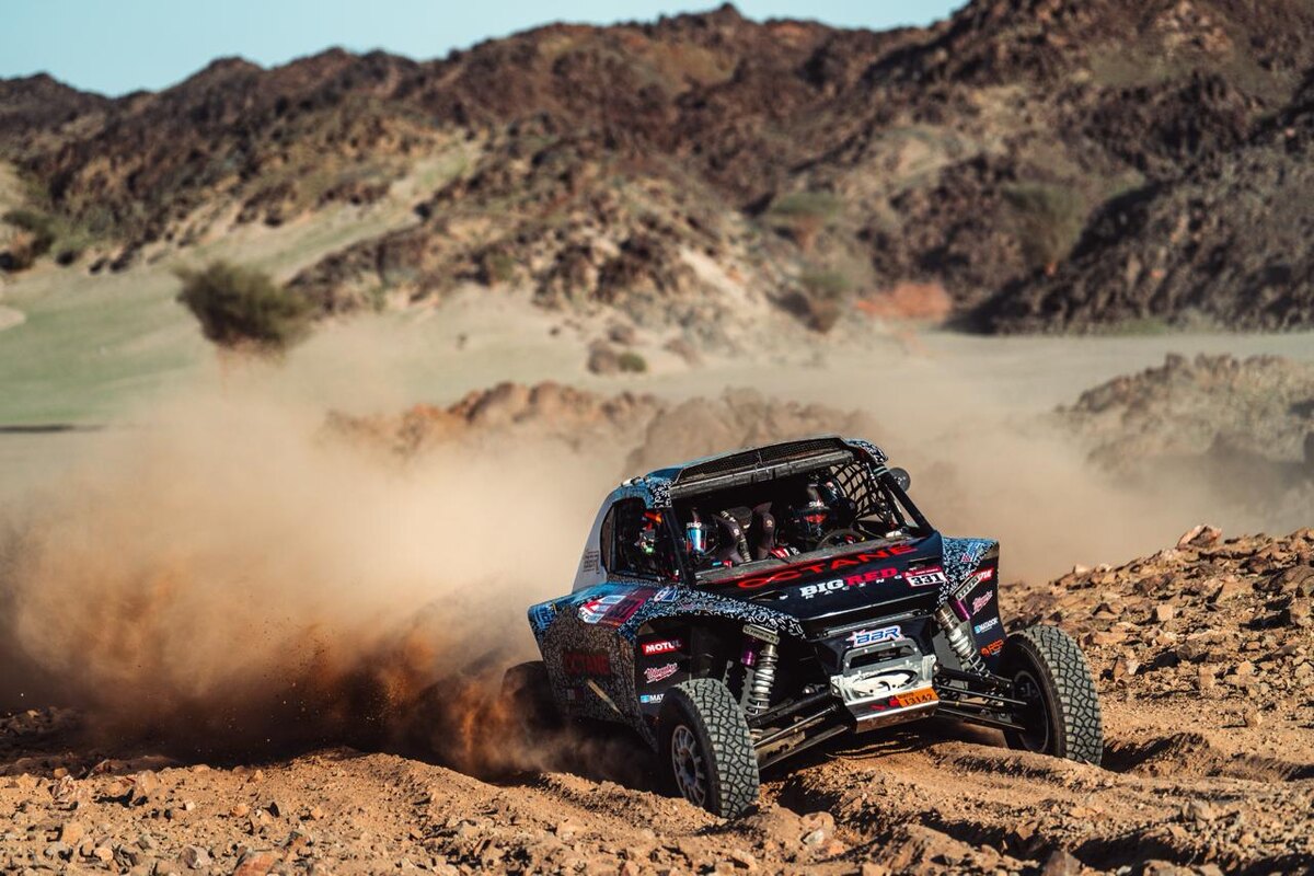 Фото: Сергей Ременник  📷
