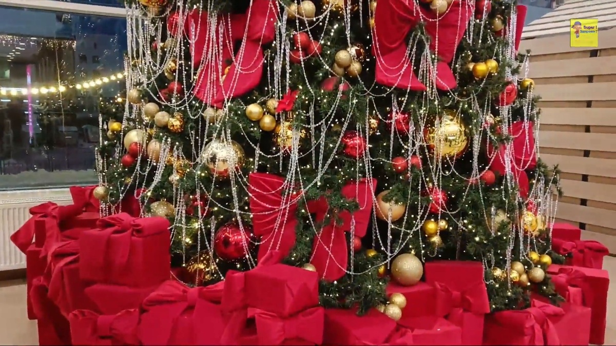 В лесу родилась ёлочка.