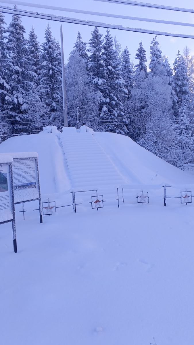 фото автора: так выглядит памятник зимой