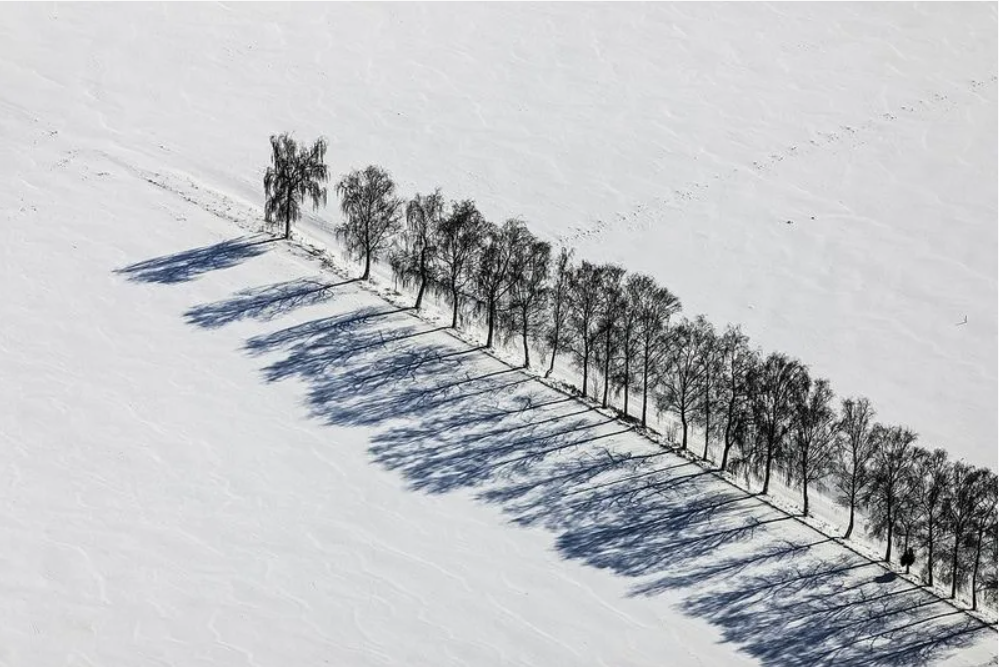 Тени паралельны?