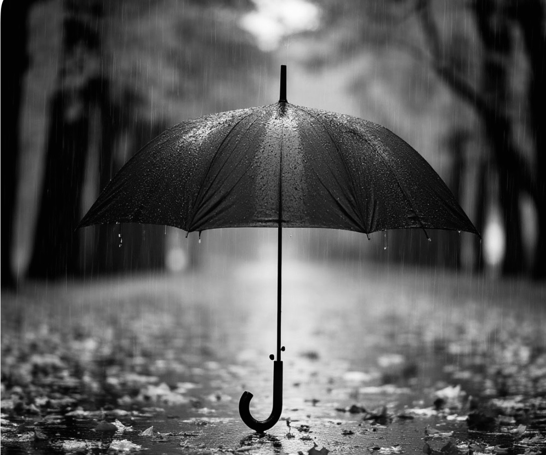 Яндекс фото 