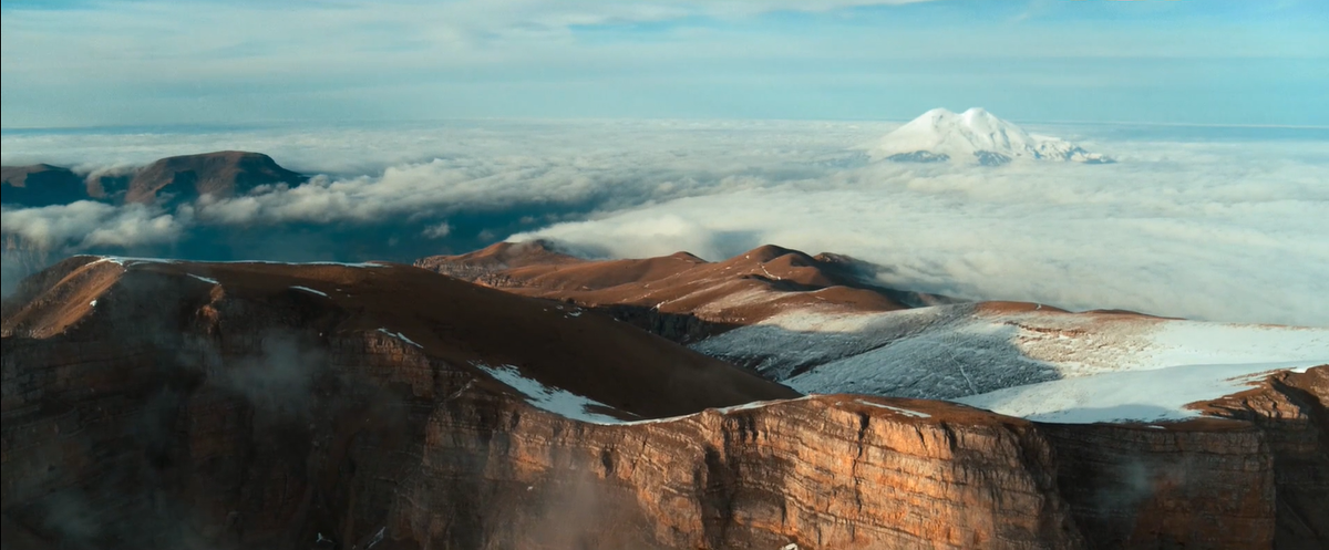 Кадр из «Бременских музыкантов»