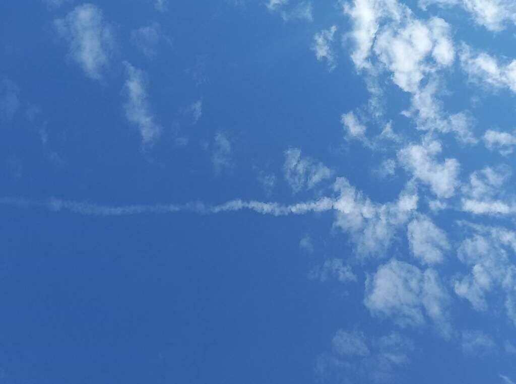    Фото - газета "Колос" Светлана Кишинько