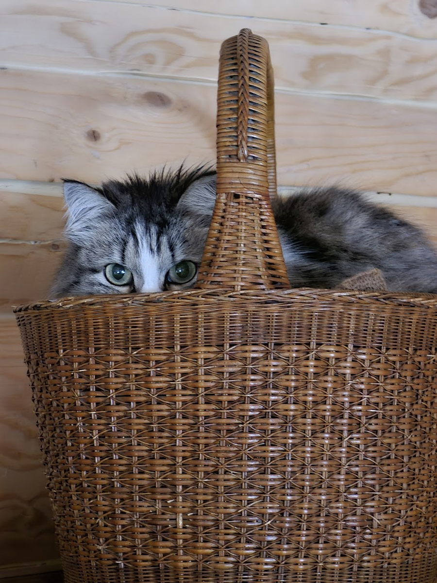 Куда опять собрались??