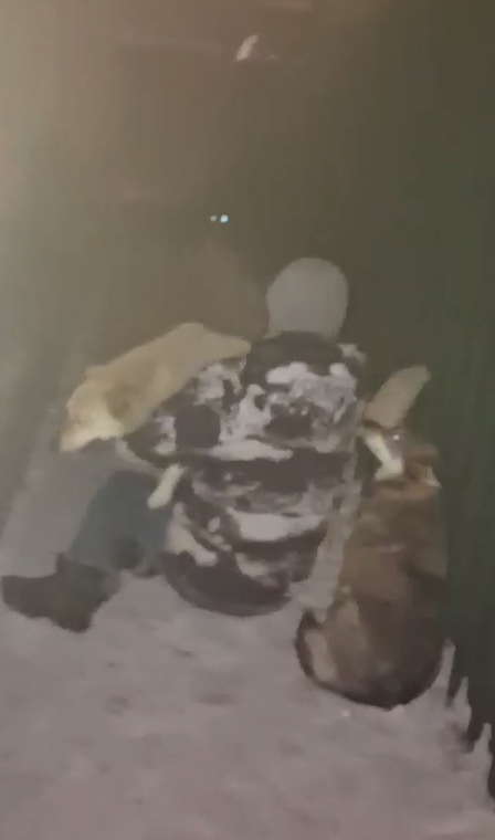 Сэма держим на руках, а Венерка в ужасе прижалась к забору