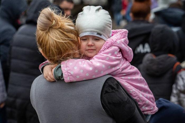 Обложка © Shutterstock / FOTODOM / Sodel Vladyslav