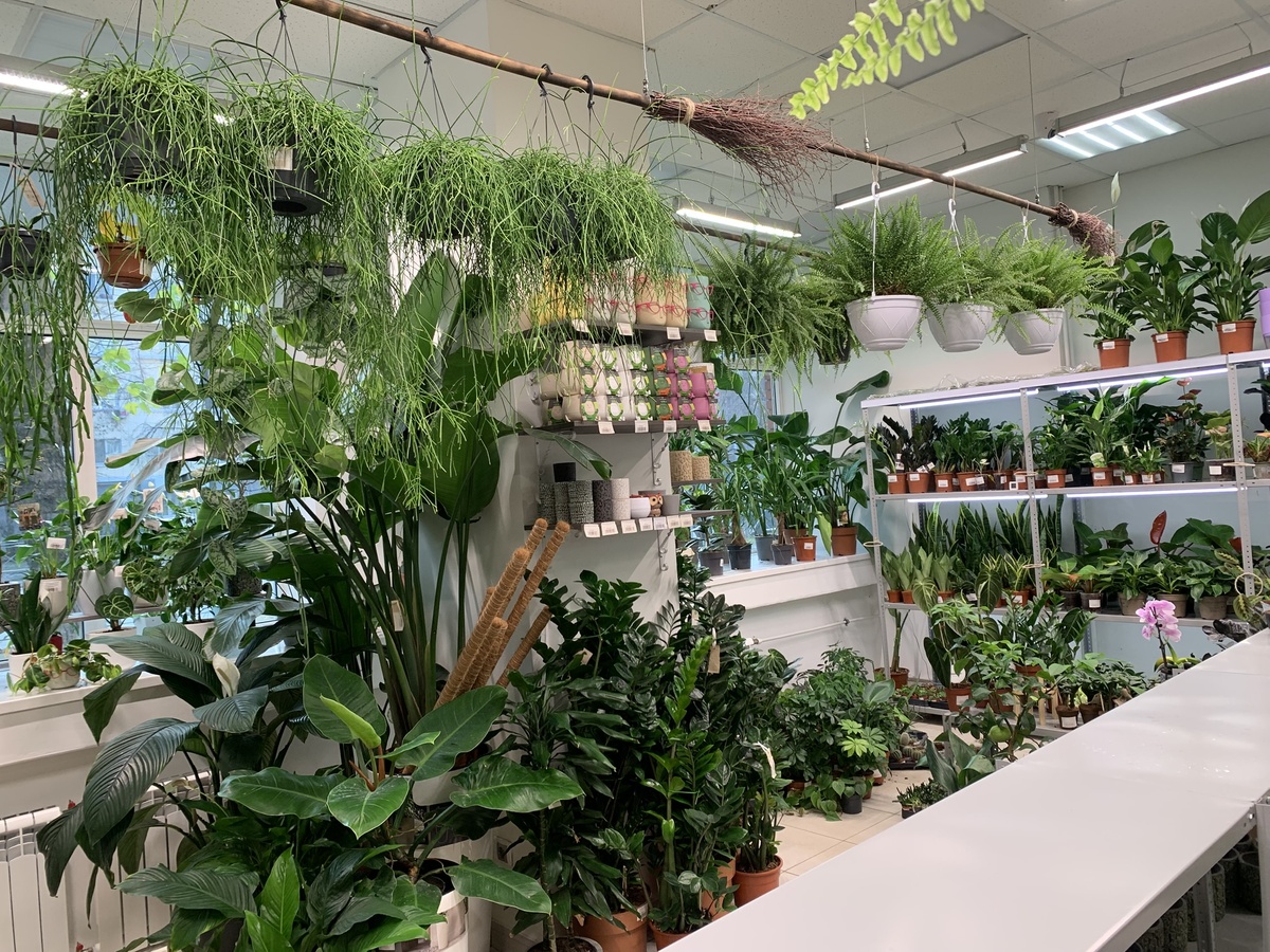 Фотография автора.