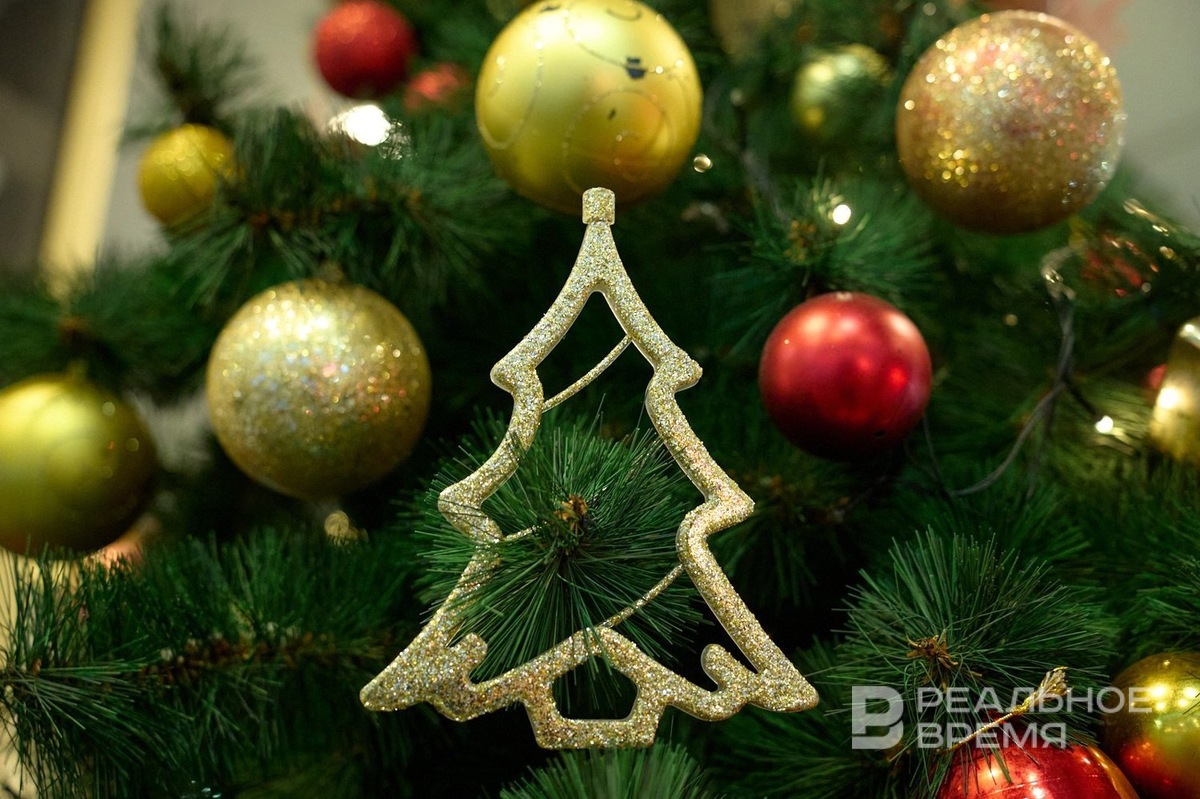   Динар Фатыхов / realnoevremya.ru