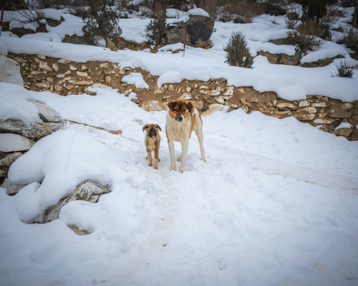 Фото из сети Интернет