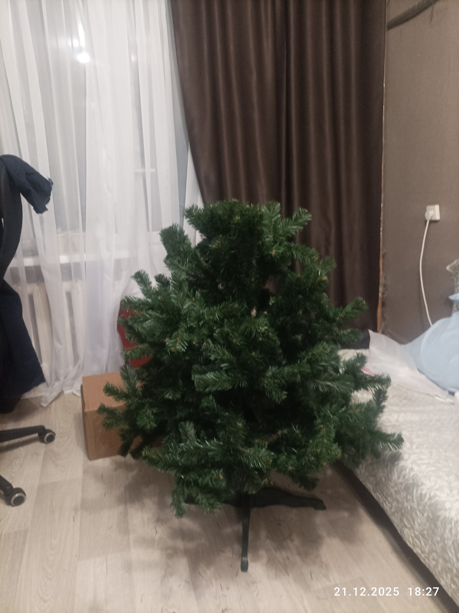 Если присмотреться, можно увидеть мою гармонь😁