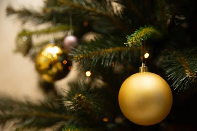    Фото: Общественная Служба Новостей Марта Леви