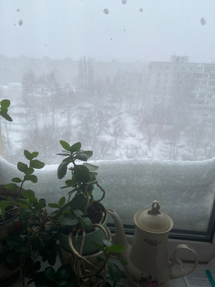 Сегодня утром 