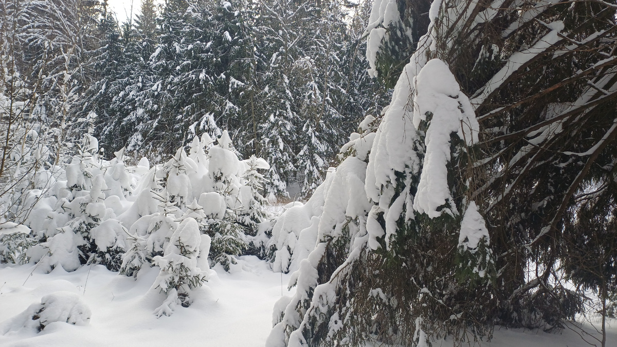 Фото Татьяны Федотовой