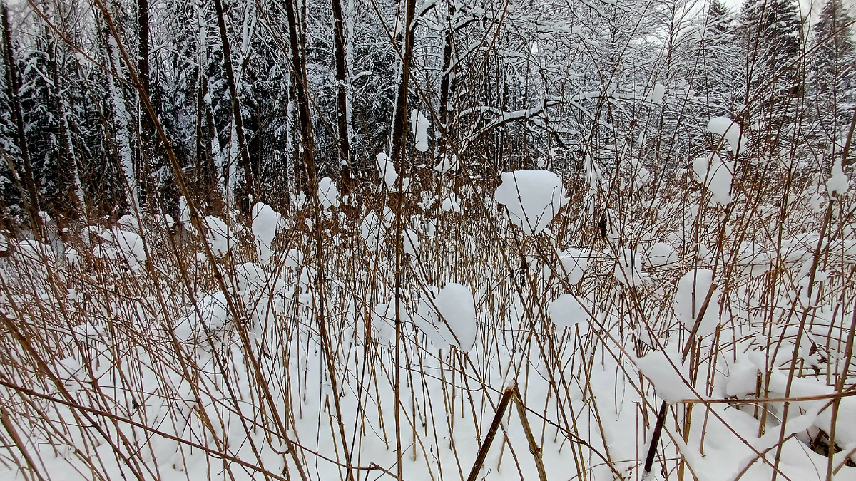 Автор фото Татьяна Федотова.