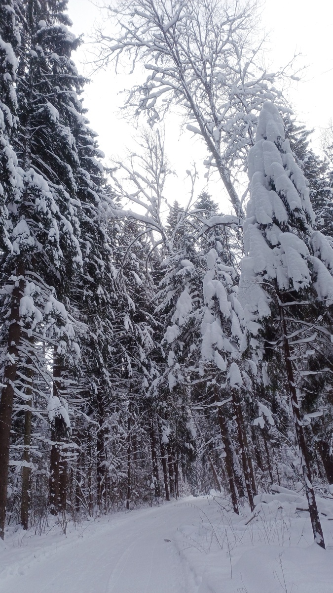 Автор фото Татьяна Федотова.