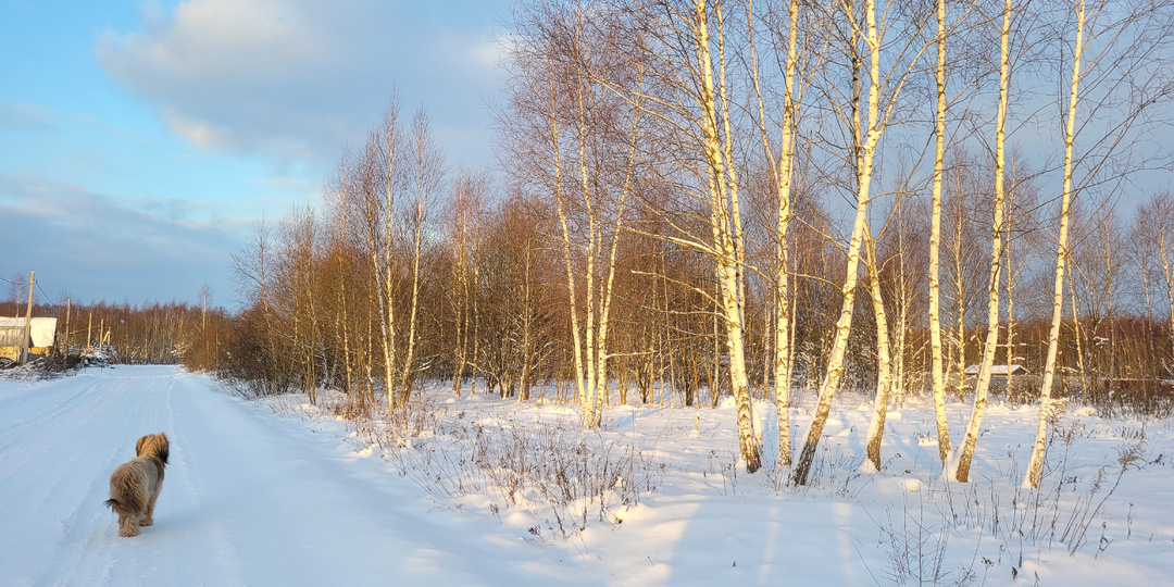 5 января: прогулка, гратен, Дзен