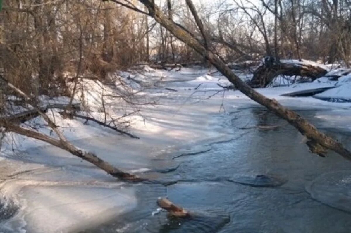    В Пензенской области будут расчищать русло реки Ломовки