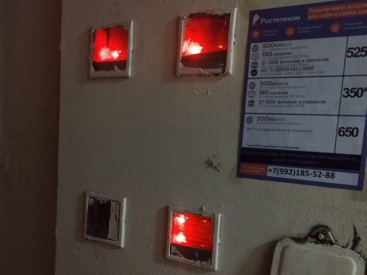     Погода не дает передышки, засыпая регион снегом. Фото: Архив МК в Великом Новгороде