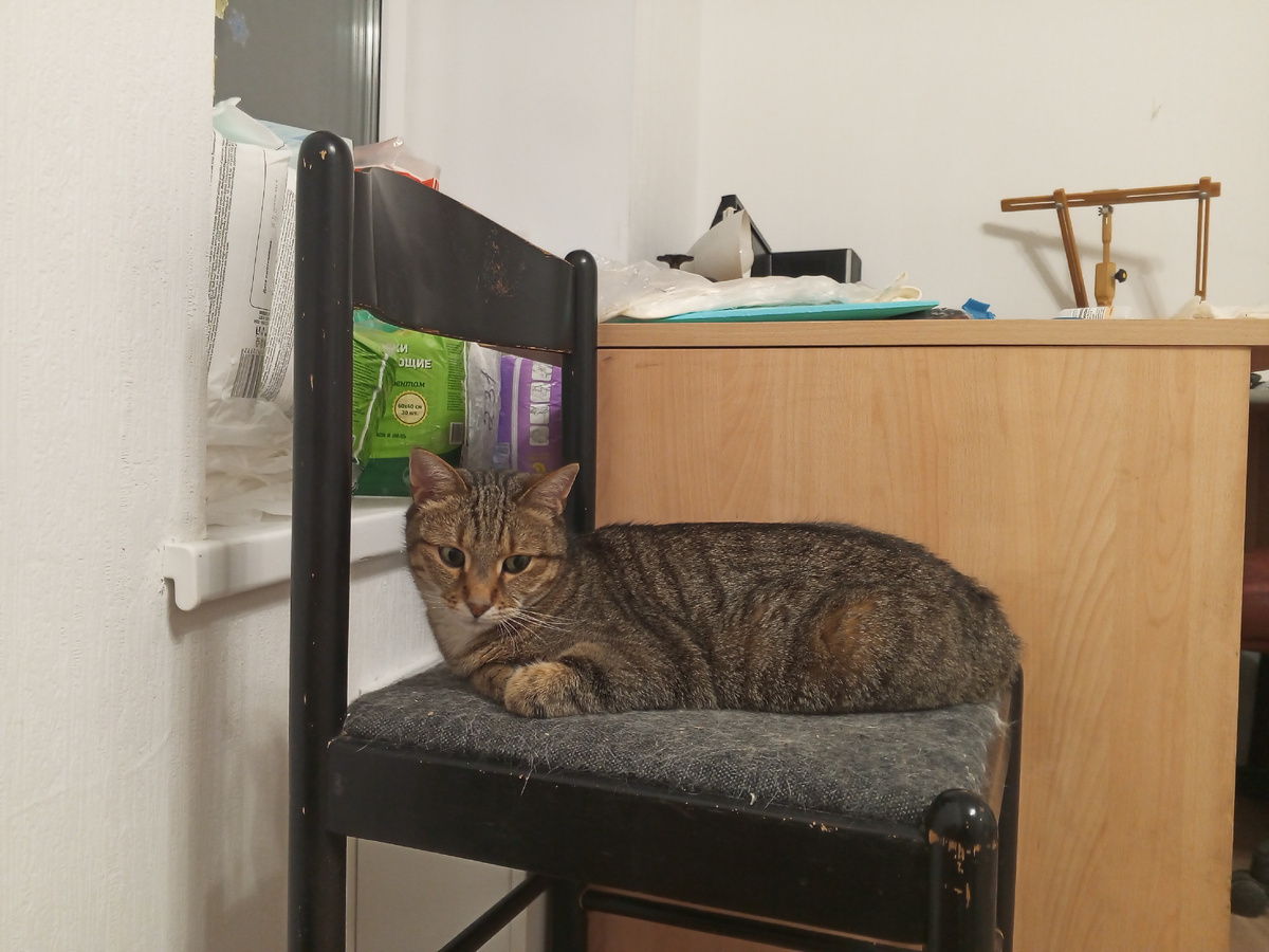 "мне пришла в голову мысль и я её думаю"