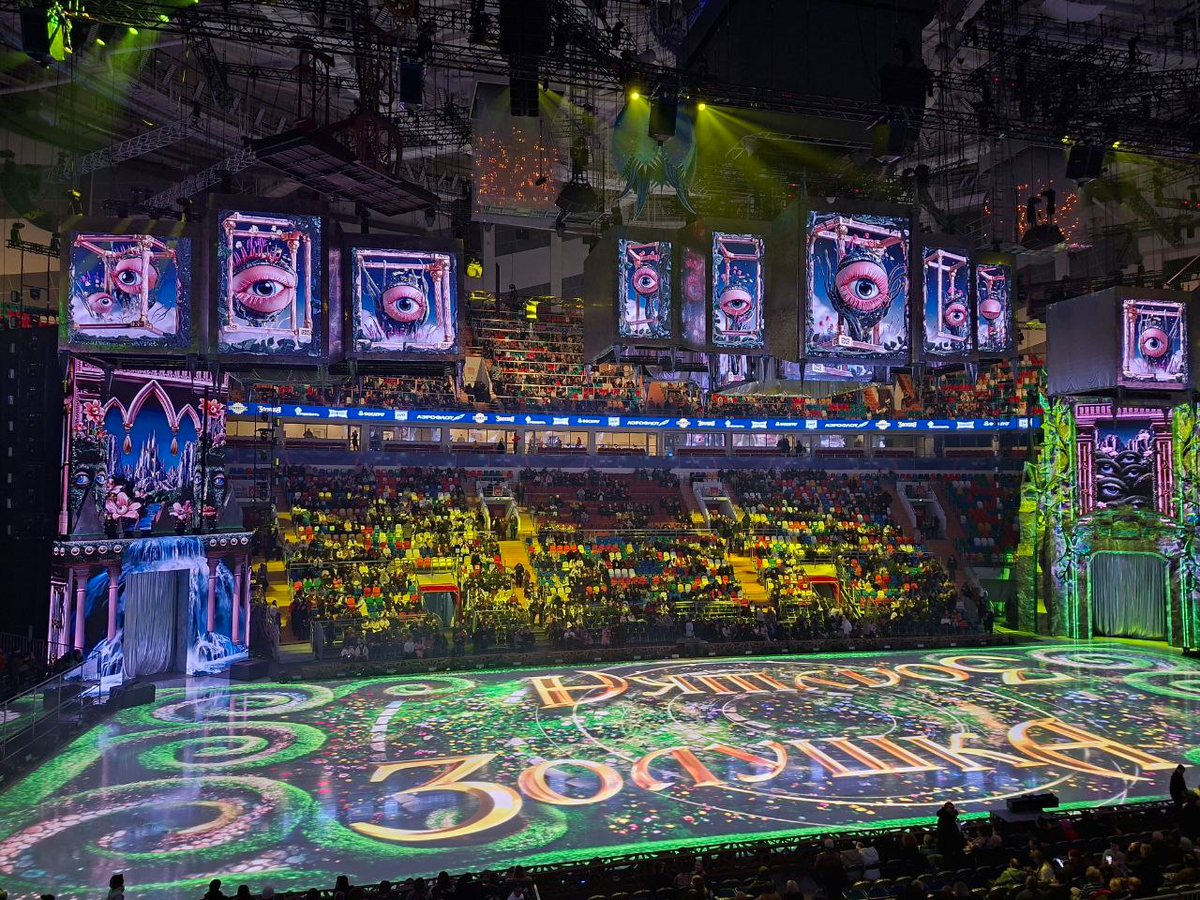 У нас был сектор А3, 15 ряд. Видимость хорошая. Но билеты на хорошие места по соотношению цена/качество очень быстро разбирают