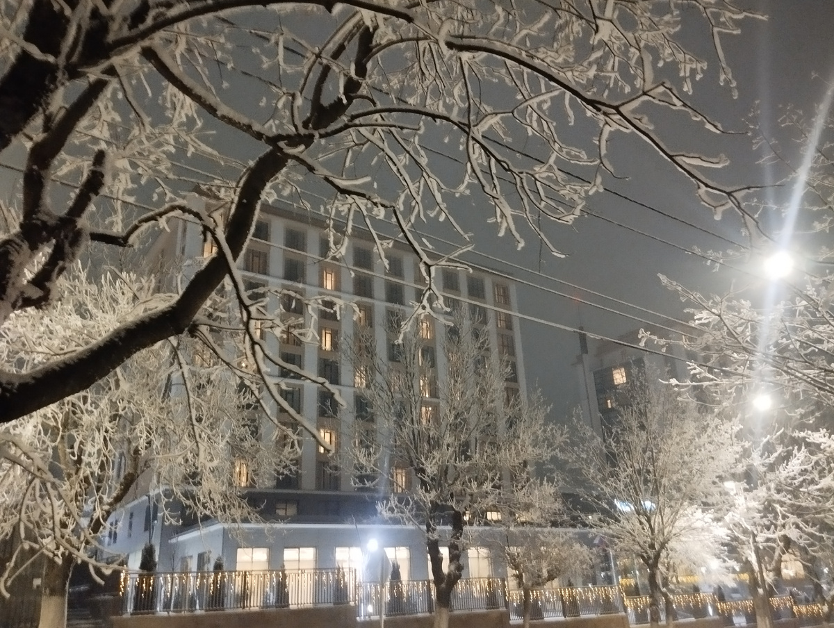 Санаторий " Источник" на фоне заснеженных деревьев