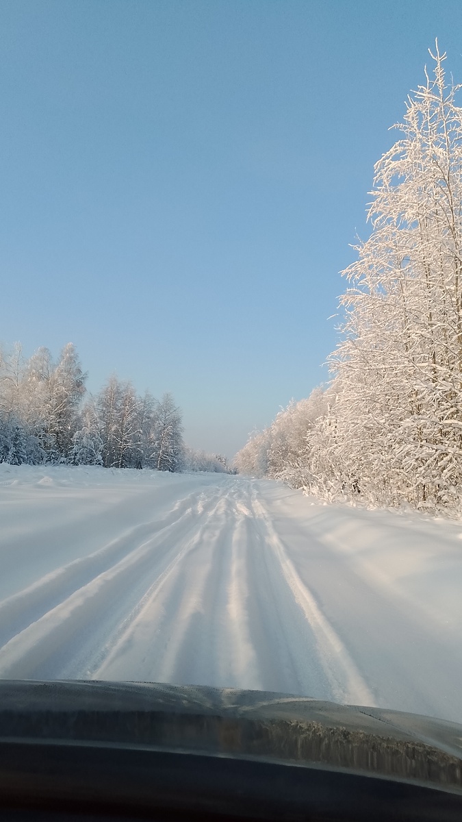 Дорога в деревню. 
